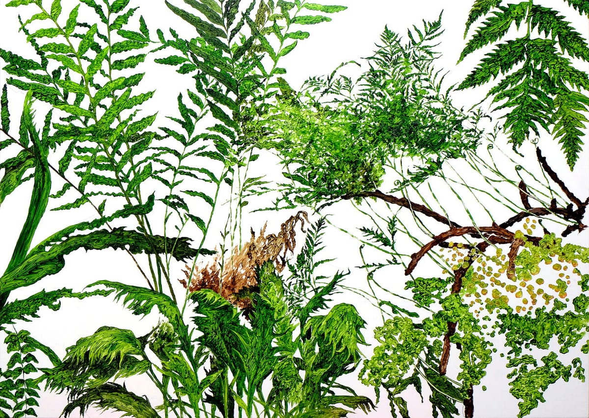 Large fern fronds, fine stems, tight curls, and dark leaves overlap across a white field that remains visible through the gaps.