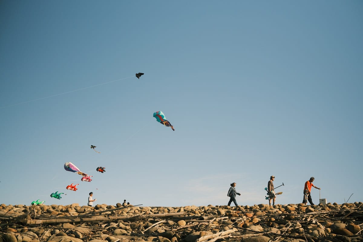 Several kites fill a broad blue sky above people and driftwood on a rocky shore.