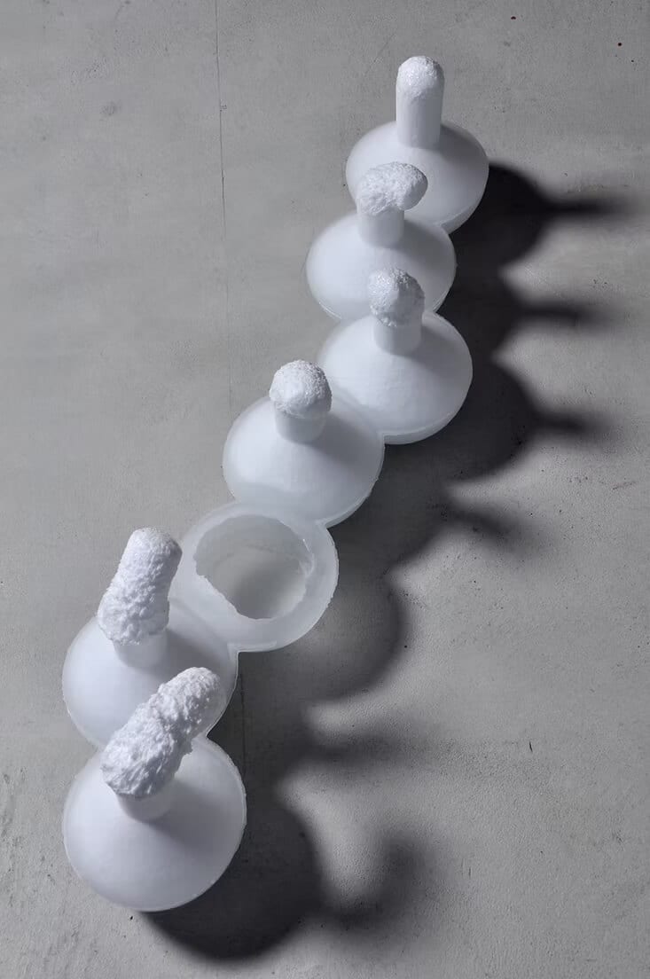 White glass forms run diagonally over grey concrete. Porous stems rise from rounded discs, one opens into a hollow cup, and long shadows fall to the right.