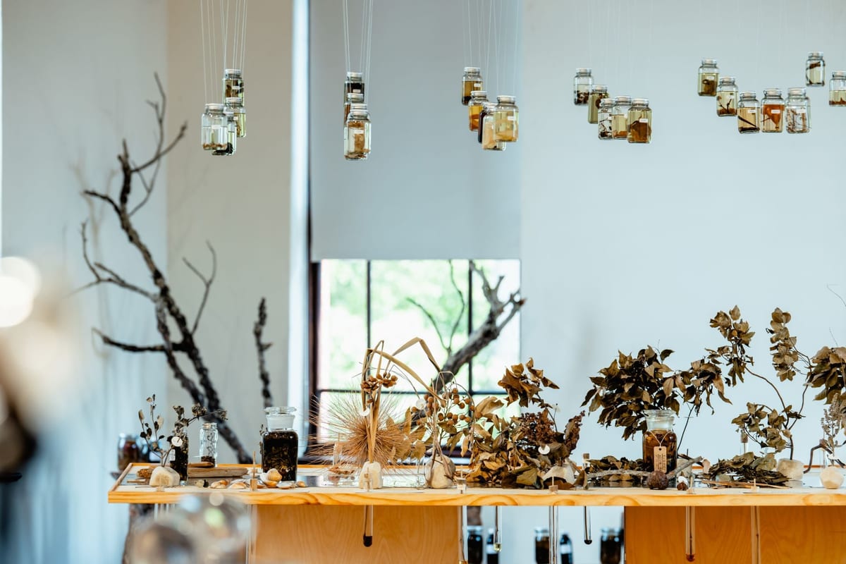 Jars containing plants and differently coloured liquids hang above timber tables covered with dried branches, leaves, seeds and bottles; test tubes extend below the tables.