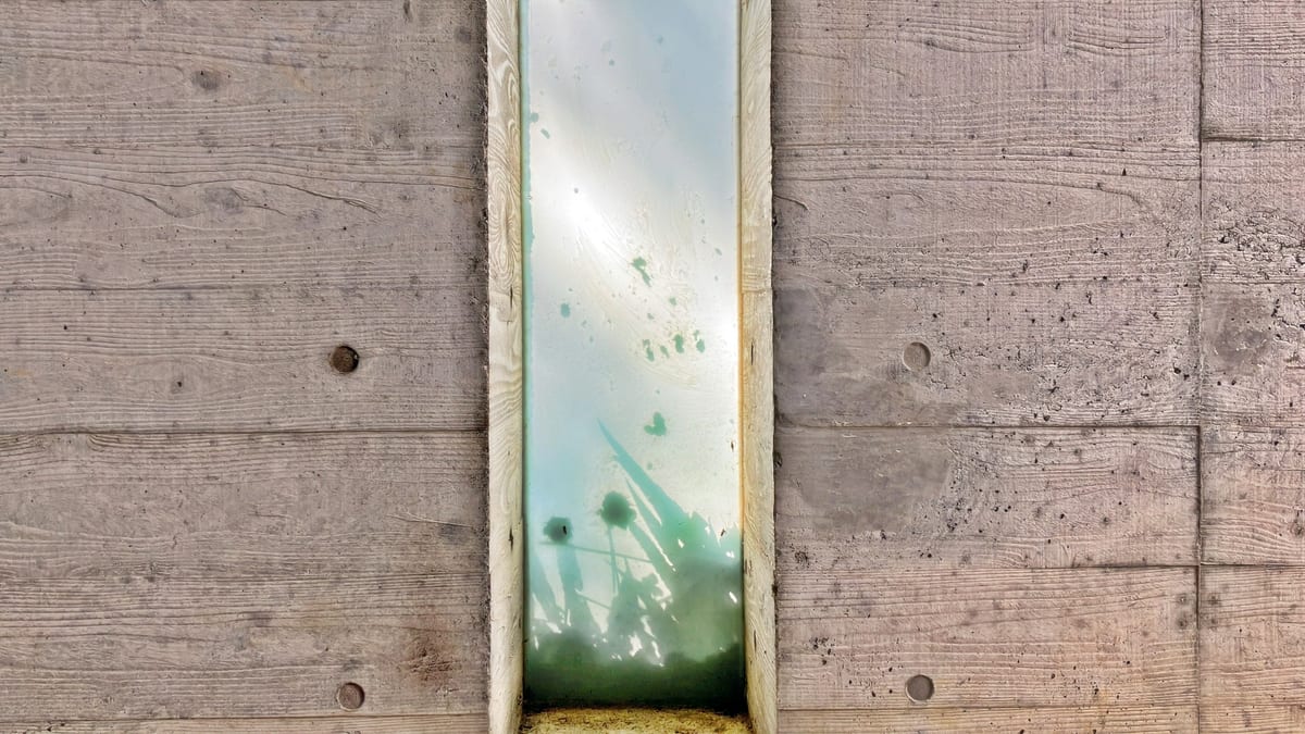A narrow mirrored slot set into a board-marked concrete wall reflects sky and a clump of grass, with water marks and green algae gathering along its lower edge.