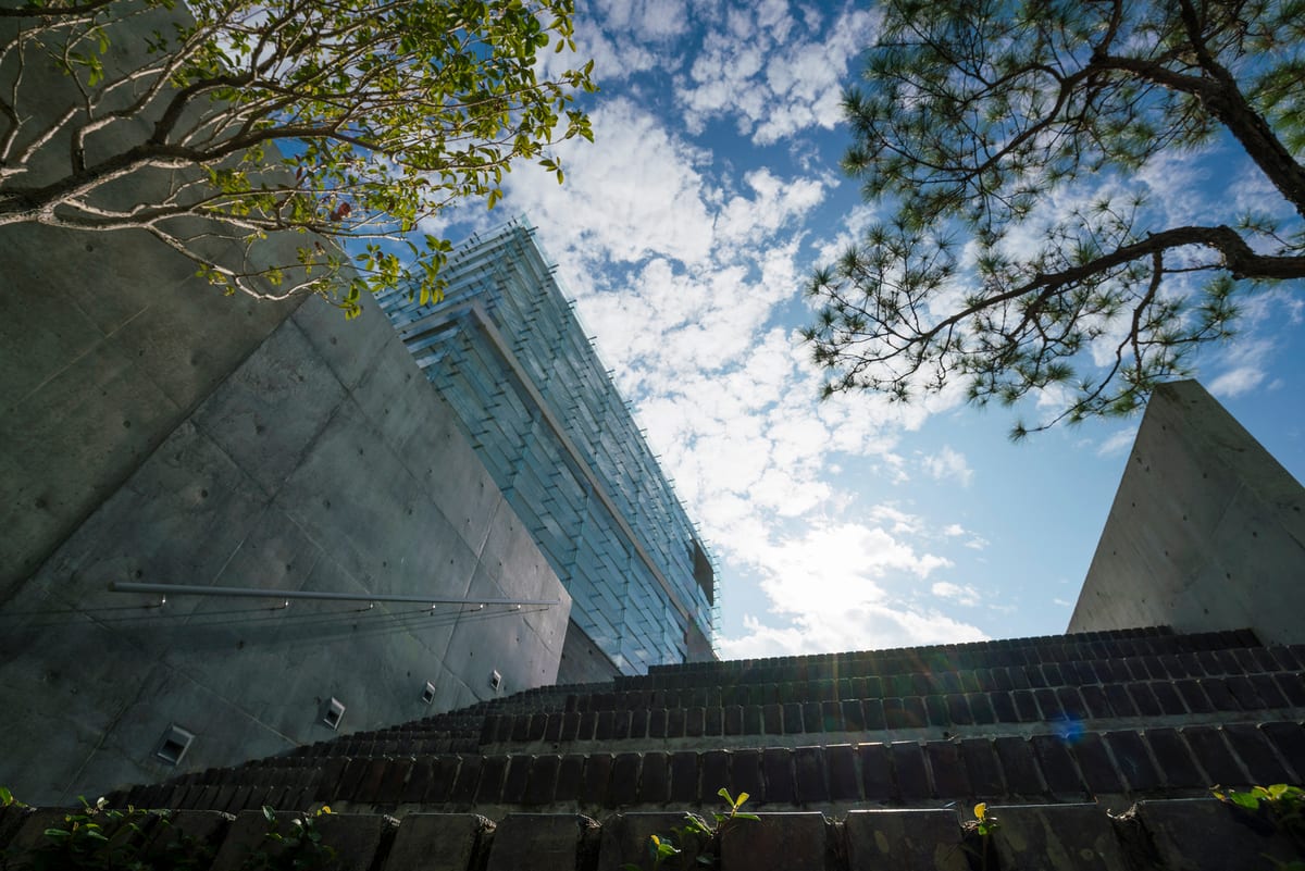 Looking up at the museum: a raking board-marked concrete wall meets a full glass façade under a blue sky, with stone steps and pine branches in the foreground.