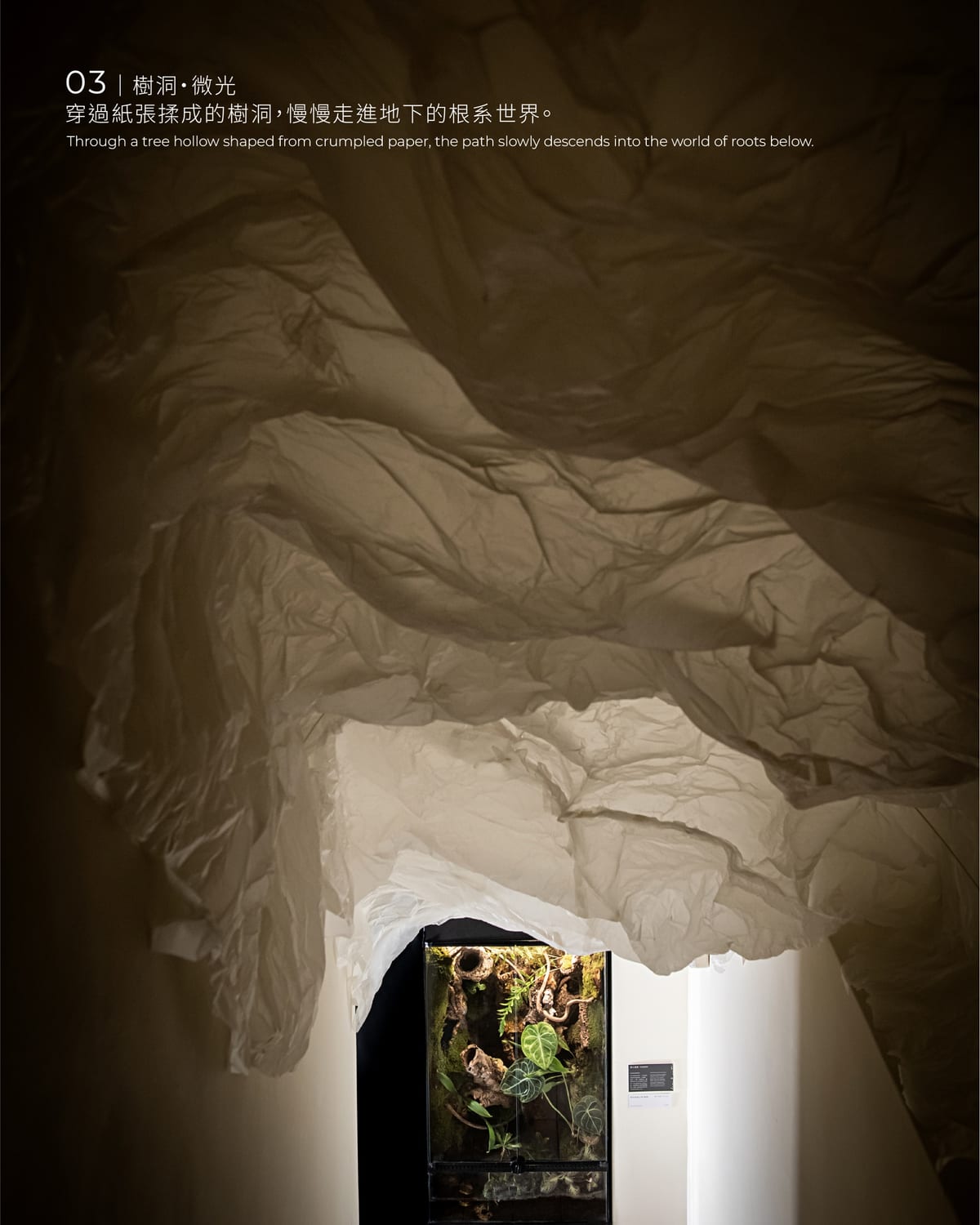 Crumpled white paper hangs from the ceiling to form a dim tree hollow; through a lit opening below, a glass case full of green plants is visible.