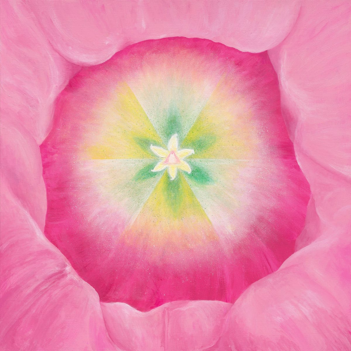 A pink tulip seen from above, with pale pointed shapes at its centre and yellow-green colour spreading outward.